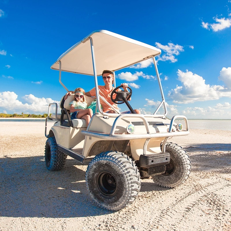 36V 100Ah Golf Cart Lithium Battery